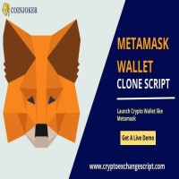 Launch your Metamask Clone script within 48 hrs