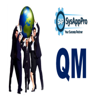 SAP QM Training Institute In Noida