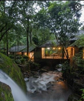  An Unforgettable Stay in Forest